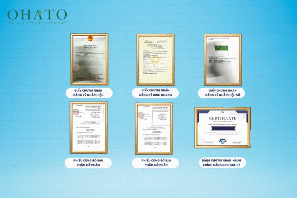 Cac giay to phap ly kinh doanh cua Ohato